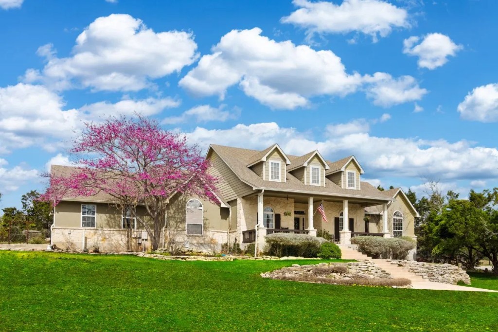 ornamental tree in front of Texas home